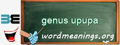 WordMeaning blackboard for genus upupa